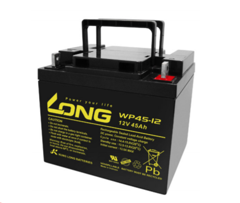 Ắc quy LONG WP45-12 12V 45Ah Chính hãng, giá rẻ