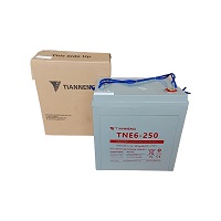 Ắc quy TianNeng TNE 6-250 (6v-250Ah)