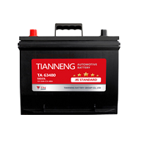 Ắc quy ô tô TianNeng N200 (12v-165Ah)