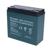 Ắc quy TianNeng TNEP 12-66 (12v-66Ah)