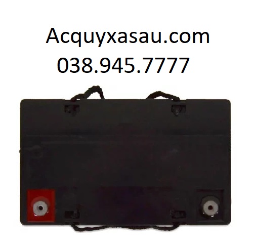 Ắc quy Fullriver FFD55-12 (12V-55Ah)