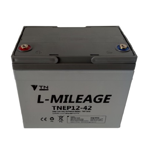 Ắc quy TianNeng TNEP12-42(12v-42Ah)